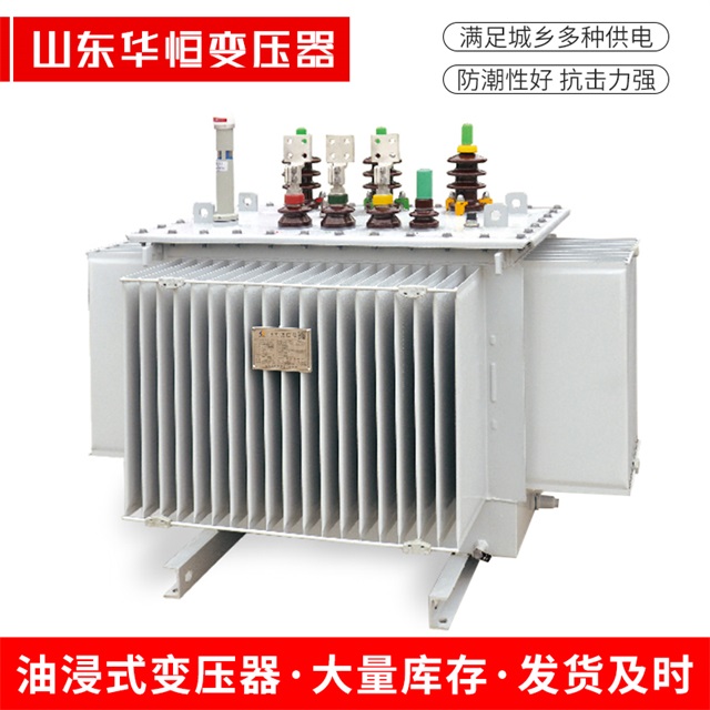 S13-10000/35龙文龙文龙文电力变压器